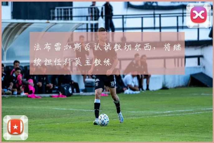 法布雷加斯否认执教切尔西，将继续担任科莫主教练